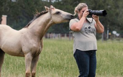 Thirteen Ways Horses Have Impacted My Life