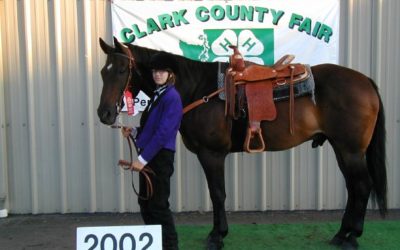 Horses Who Built Me: Snickers