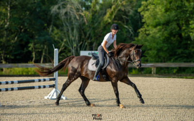 Why I Love Photographing Horse Shows