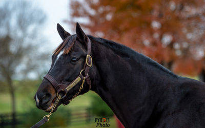 Keeping It In The Family: The Preakness